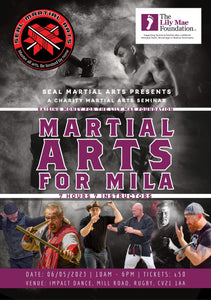 Martial Arts For Mila