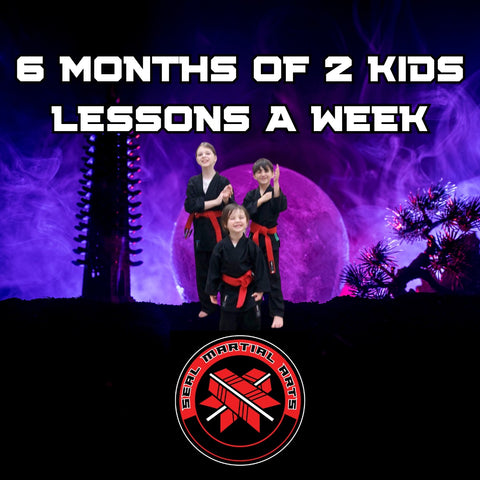 6 Months of 2 Kids Lessons a Week